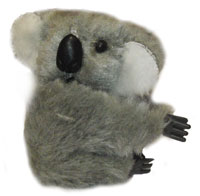 Image result for Clip on Koalas