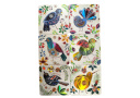 Coasters - NZ Birds (Set of 6)
