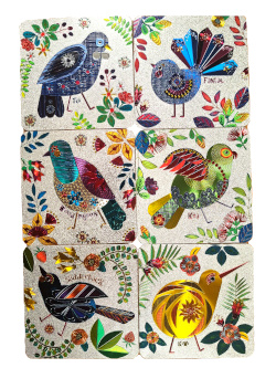 Coasters - NZ Birds (Set of 6)
